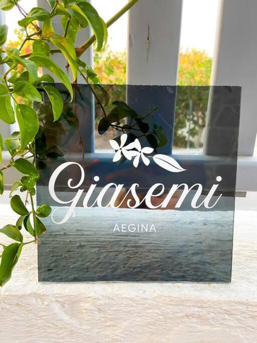 Giasemi Aegina, Modern House Villa Exteriör bild